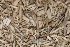 biomass boilers Westruther